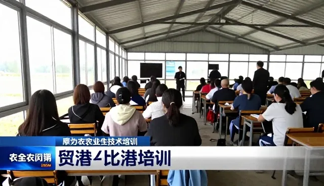 技术推广适用条件:场景化分析与匹配策略